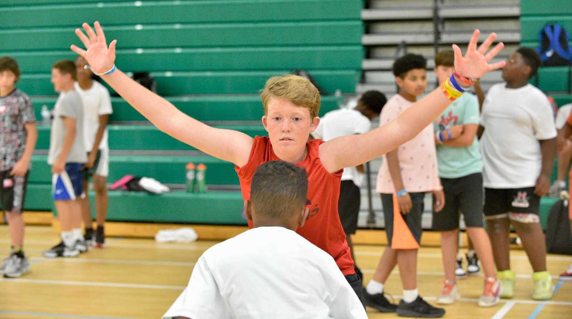 Wingspan